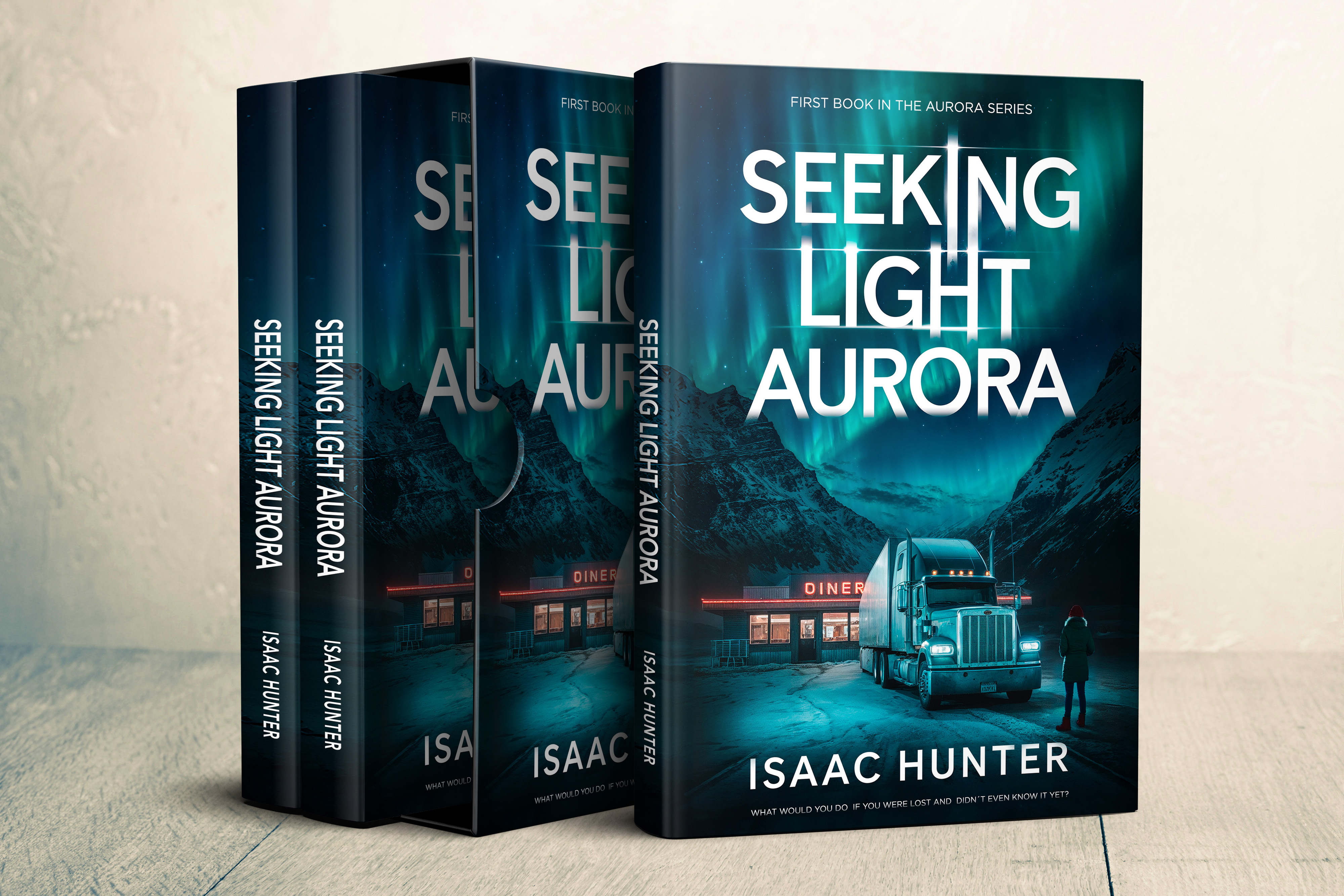 Seeking Light Aurora (eBook) - Image 3