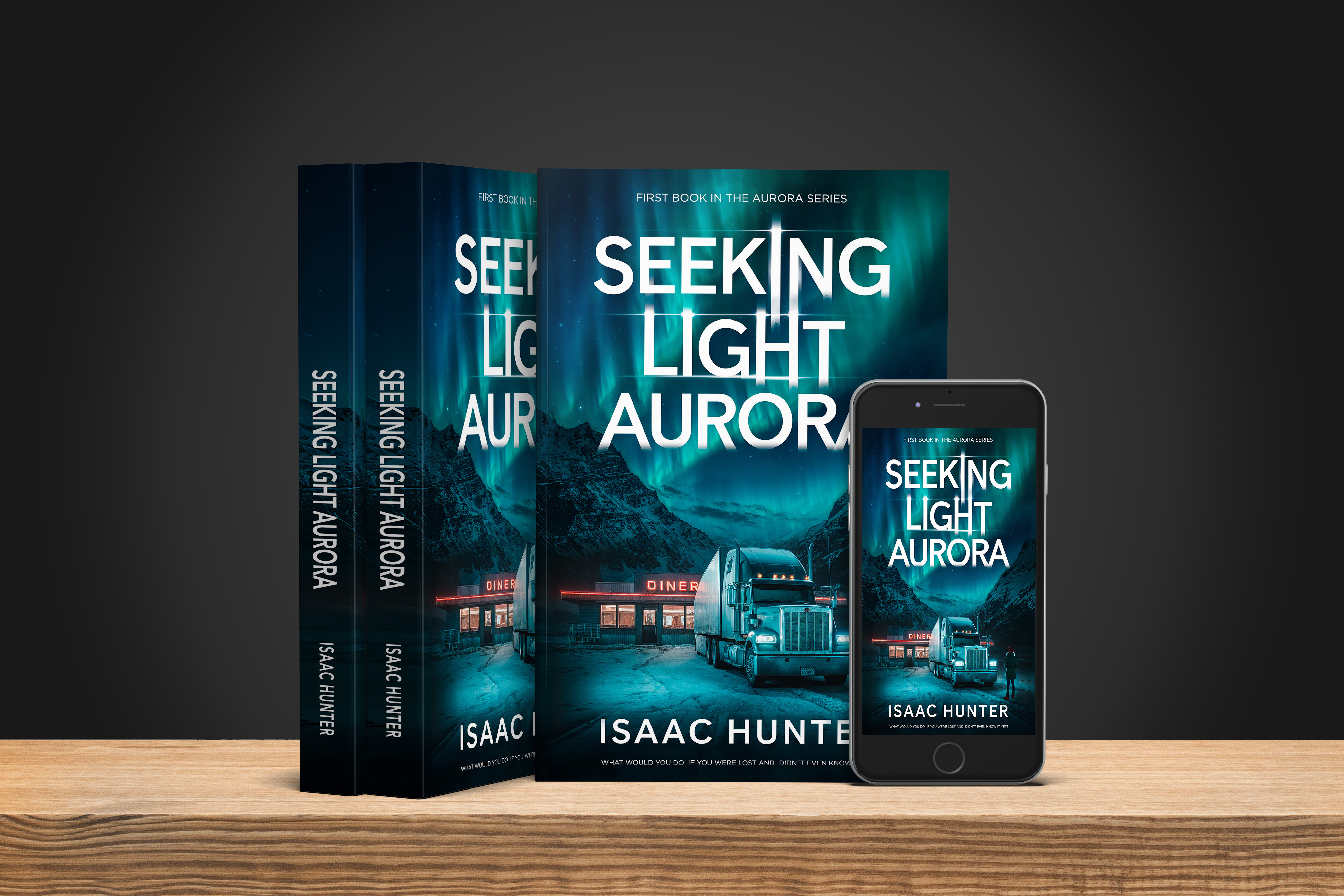 Seeking Light Aurora (eBook) - Image 4