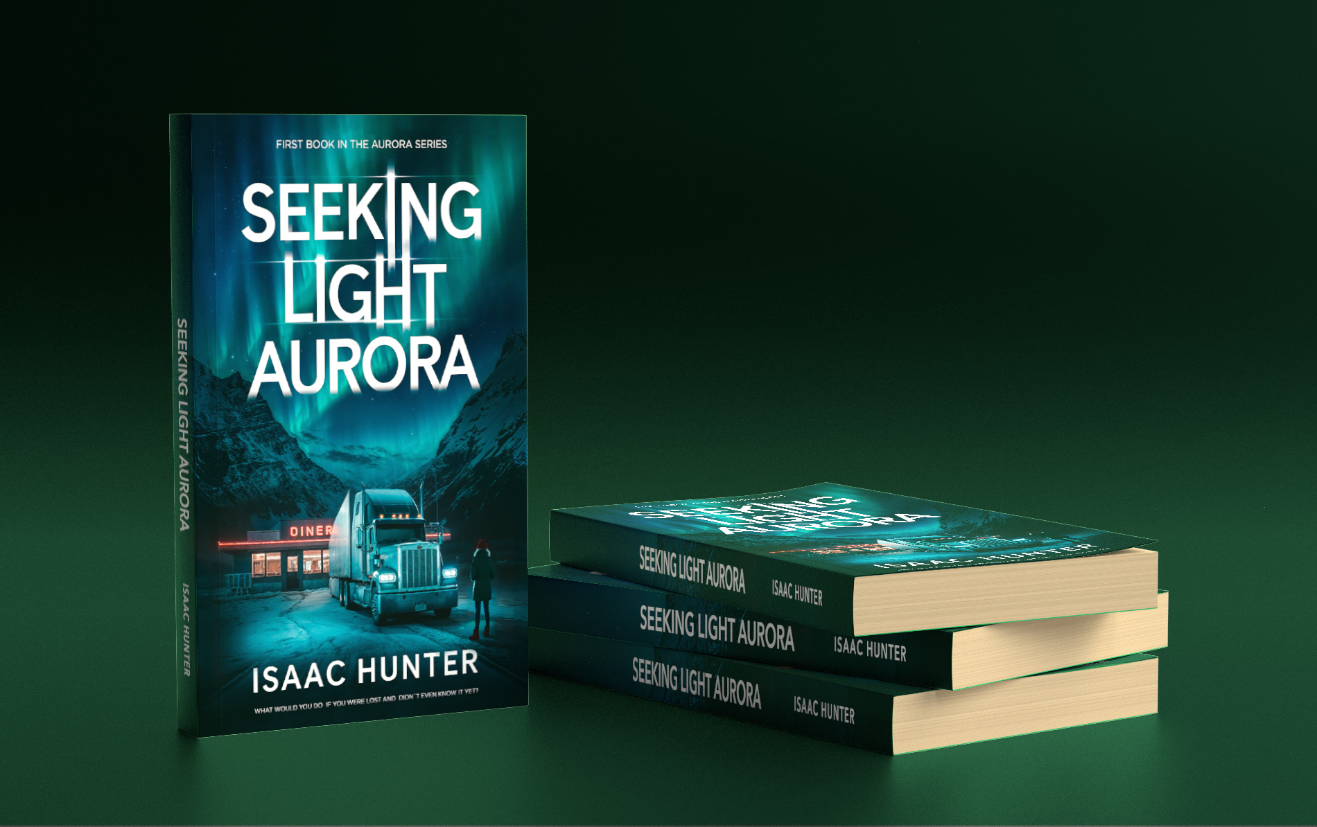 Seeking Light Aurora (eBook) - Image 2